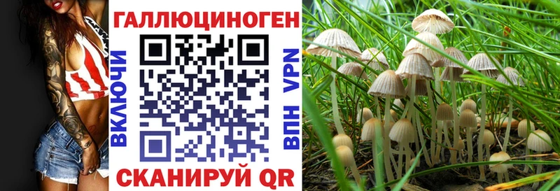 наркота  Благодарный  Псилоцибиновые грибы прущие грибы 